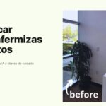 Intelliverso_plantaid_02