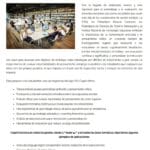 Intelliverso_cognii_04